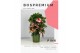 Ardisia crenata bos premium pink roze bes 4 
