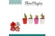 Hippeastrum Amaryllis Mix 2 Knop in Ompot Amy 2 tak/plnt 