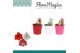 Hippeastrum Amaryllis Mix 2 Knop Plastic ompot Linge 2 tak/plnt 