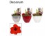 Hippeastrum Amaryllis Rood 2 Knop Faja KERST (Decorum) 2 tak/plnt 