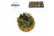 Arrangementen succulenten Pumpkin mix (S) 