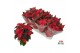 Euphorbia pul. princettia indian red 6+ Bloem 