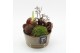 Arrangementen hippeastrum HACR-2507R Amaryllis Herfst 1 pp 