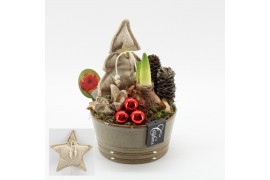 Arrangementen hippeastrum HICR-2511R Kerst Amaryllis 1 pp