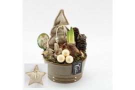 Arrangementen hippeastrum HICR-2511W Kerst Amaryllis 1 pp