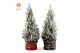 Picea glauca december P26 in Bag X-mas Duo + Snow 