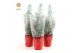 Pinus pinea silver crest in Sleeve X-mas + Snow 