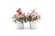 Gaultheria procumbens big berry in Zinc Old-Look + Reindeer + Snow 