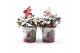 Gaultheria procumbens big berry in Zinc Santa + Reindeer + Snow 