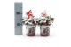 Gaultheria procumbens big berry in Zinc Santa + Reindeer + Snow 