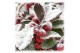 Gaultheria procumbens big berry + Snow 