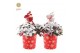 Gaultheria procumbens big berry in Cup X-mas Deco + Reindeer + Snow 