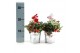 Gaultheria procumbens big berry in Zinc Old-Look + Reindeer 