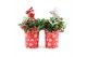 Gaultheria procumbens big berry in Cup X-mas Deco + Reindeer 