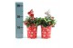 Gaultheria procumbens big berry in Cup X-mas Deco + Reindeer 