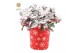 Gaultheria procumbens big berry in Cup X-mas Deco + Snow 