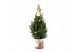 Picea glauca december P19 in Zinc Santa + Starlight + Star on Loop 