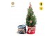 Picea glauca december P19 in Bag X-mas Duo + Winterlight-Ski + Star on 