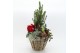 Arrangementen tuinplanten ODXM-2531 Xmas Outdoor 5 pp 
