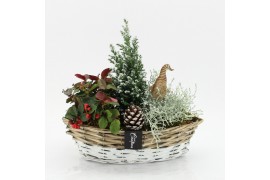 Arrangementen tuinplanten ODXM-2526 Xmas Outdoor 3 pp