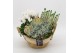 Arrangementen tuinplanten ODXM-2552 Xmas Outdoor 3 pp 