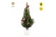 Picea glauca december P19 in Zinc Old-Look + Winterlight-Skate + Star  