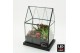 Arrangementen kerst XMAS-25220LED Kerst creatie terrarium 3 pp 