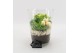 Arrangementen kamerplanten BAXM-2505W Xmas Fundamentals 2 pp 