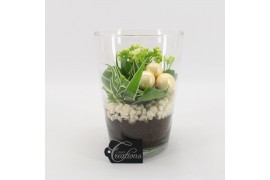 Arrangementen kamerplanten BAXM-2505W Xmas Fundamentals 2 pp