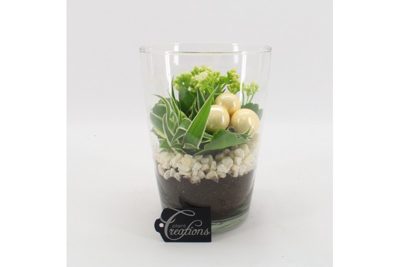Arrangementen kamerplanten BAXM-2505W Xmas Fundamentals 2 pp Arrangementen kamerplanten BAXM-2505W Xmas Fundamentals 2 pp