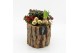 Arrangementen tuinplanten ODXM-2501 Xmas Outdoor 2 pp 