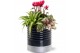 Arrangementen kamerplanten Collectie "Bubbles & wine" - Arrangement in 
