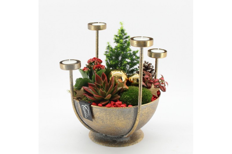 Arrangementen kerst ADV-2505R Advent creatie 4 pp Arrangementen kerst ADV-2505R Advent creatie 4 pp