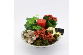 Arrangementen kerst ADV-2513R Advent creatie 3 pp