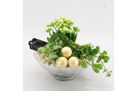 Arrangementen kamerplanten BAXM-2501W Xmas Fundamentals 3 pp