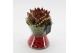 Arrangementen kerst XMAS-25204 Kerst creatie 1 pp 