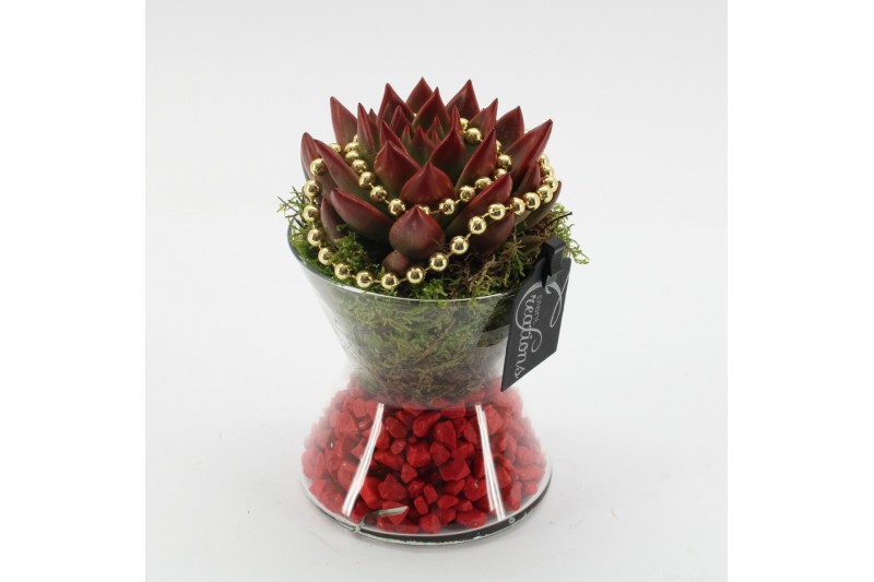 Arrangementen kerst XMAS-25204 Kerst creatie 1 pp Arrangementen kerst XMAS-25204 Kerst creatie 1 pp