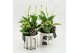 Arrangementen kerst XMAS-25278 Kerst creatie 2 pp 