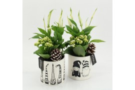 Arrangementen kerst XMAS-25278 Kerst creatie 2 pp