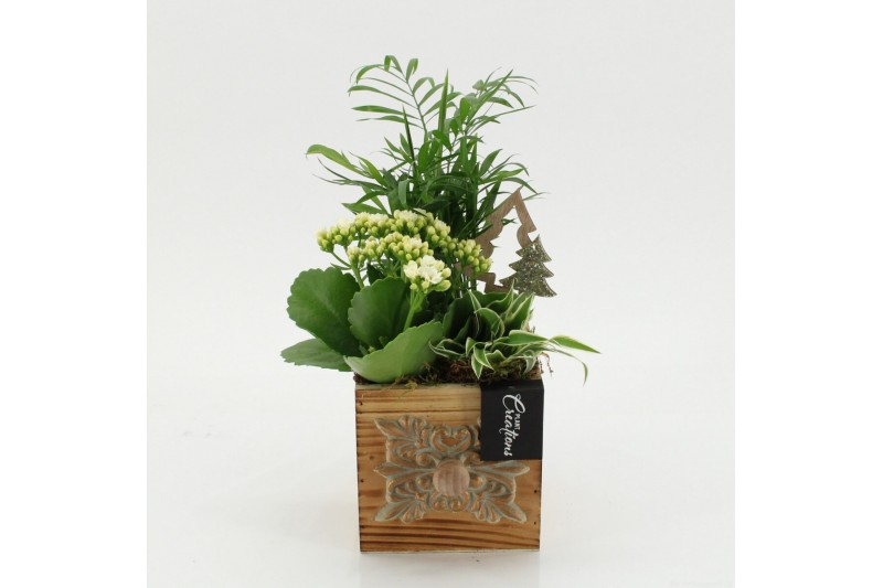 Arrangementen kerst XMAS-25257 Kerst creatie 3 pp Arrangementen kerst XMAS-25257 Kerst creatie 3 pp