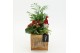 Arrangementen kerst XMAS-25256 Kerst creatie 3 pp 