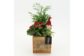 Arrangementen kerst XMAS-25256 Kerst creatie 3 pp