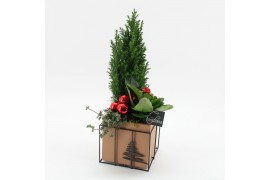 Arrangementen kerst XMAS-25039 Kerst creatie 3 pp