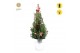 Picea glauca december P19 in Zinc Old-Look + Winterlight-Ski + Star on 