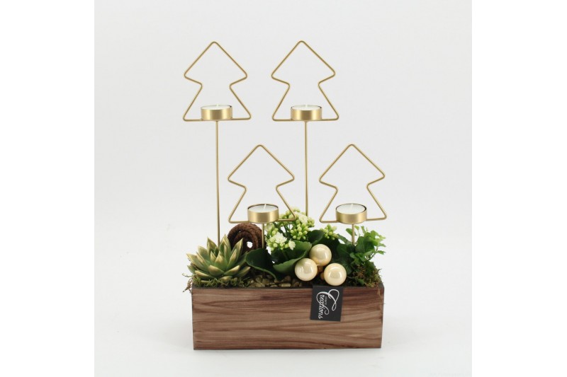 Arrangementen kerst ADV-2506W Advent creatie 3 pp Arrangementen kerst ADV-2506W Advent creatie 3 pp