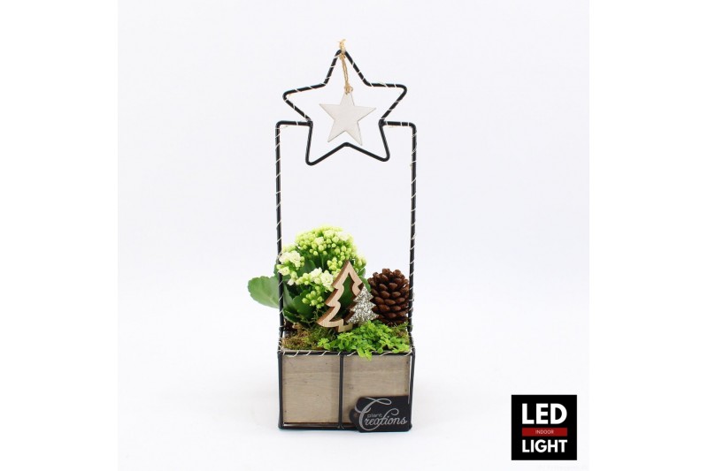 Arrangementen kerst XMAS-25065LED Kerst creatie 2 pp Arrangementen kerst XMAS-25065LED Kerst creatie 2 pp