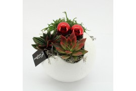 Arrangementen kerst XMAS-25282 Kerst creatie 3 pp
