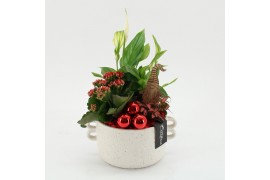 Arrangementen kerst XMAS-25290 Kerst creatie 3 pp