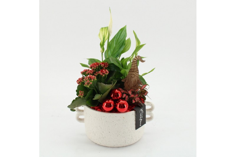 Arrangementen kerst XMAS-25290 Kerst creatie 3 pp Arrangementen kerst XMAS-25290 Kerst creatie 3 pp