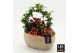 Arrangementen kerst XMAS-25270LED Kerst creatie 3 pp 